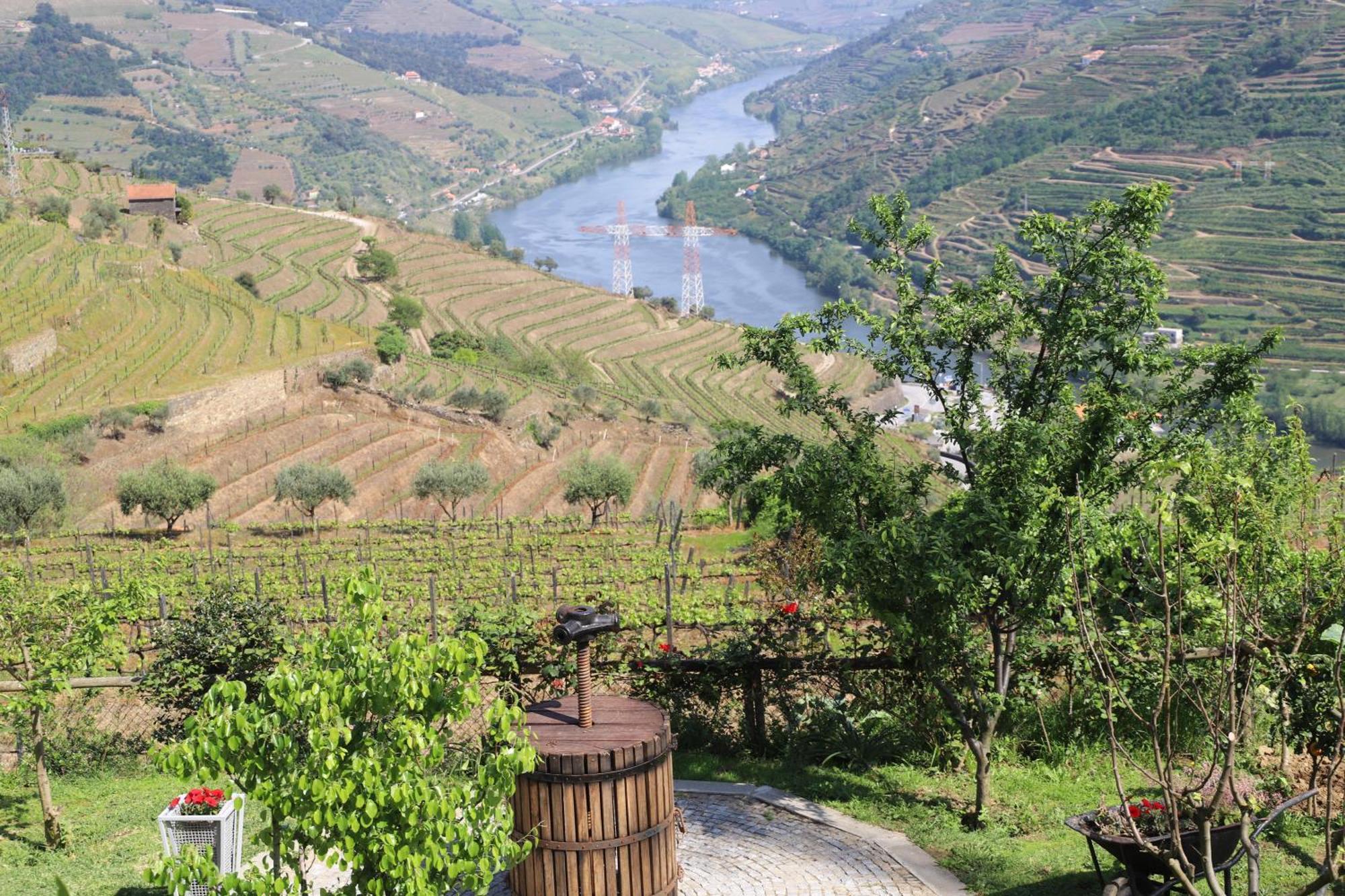 Bed and Breakfast Casa Vale Do Douro Mesão Frio Exterior foto